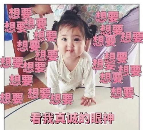 吃瓜小组入组理由,探寻美食与生活的无尽乐趣