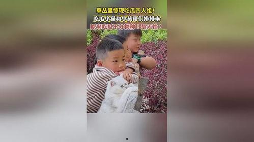 吃瓜小组入组理由,探寻美食与生活的无尽乐趣