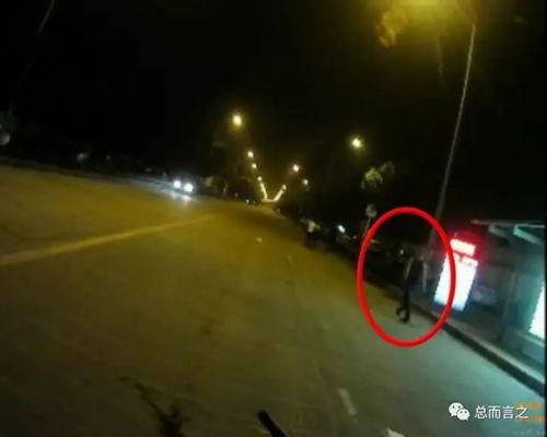 男子开车吃瓜后续,安全驾驶警钟长鸣