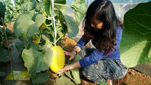 吃瓜少女带你吃瓜,吃瓜少女带你领略娱乐圈风云变幻