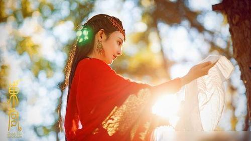 大白在吃瓜东宫番外66,大白吃瓜大揭秘，宫廷风云再起波澜