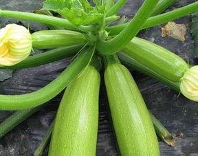 每日吃瓜今日大瓜,热点事件深度解析