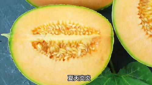 吃冻哈密瓜吗,冰镇哈密瓜的甜蜜诱惑