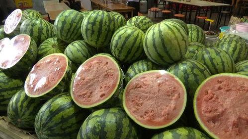 吃瓜自由的案例