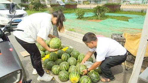 吃瓜自由的案例