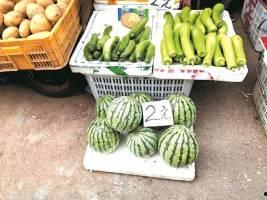 吃瓜自由的案例