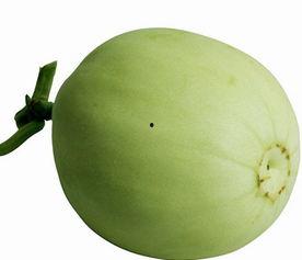 吃梨瓜补肾吗怎么吃,食用方法与功效解析