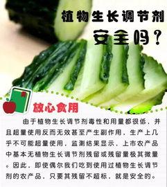 吊瓶吃瓜,揭秘“吊瓶吃瓜”的独特魅力