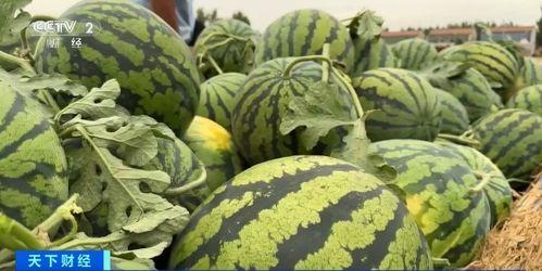 他们是怎么吃瓜,揭秘吃瓜群众的独特吃瓜方式