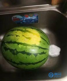 吓人的吃瓜,揭秘娱乐圈那些吓人的幕后真相