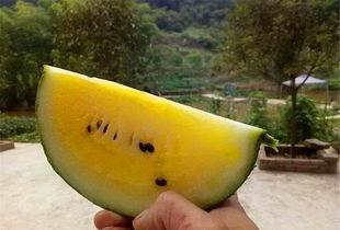 黄老板吃瓜,揭秘娱乐圈幕后真相