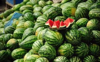 吃瓜易胖吗,吃瓜易胖？揭秘瓜类食物的体重影响之谜