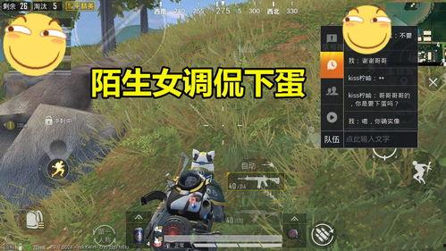 吃瓜哥测评游戏视频,揭秘热门游戏背后的真实魅力与槽点