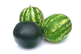 夏季吃的小瓜,缤纷口感，健康美味一网打尽