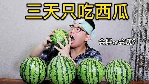 吃瓜是不是减肥,揭秘瓜类食品的神奇瘦身效果