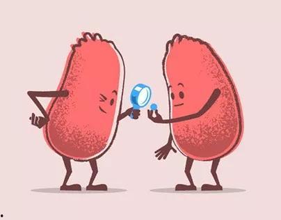 肾移植可以吃西湖瓜吗,西湖瓜的适宜性分析