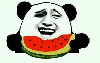 吃瓜天衡帝,揭秘娱乐圈背后的秘密与真相