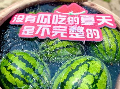 大型吃瓜现场附带图片,围观群众热情高涨，精彩瞬间尽收眼底